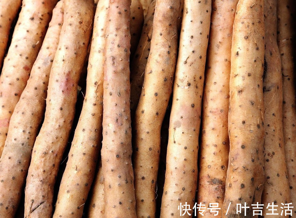 山药泥|买山药，选粗的还是细的内行人教你3招，轻松买到优质山药