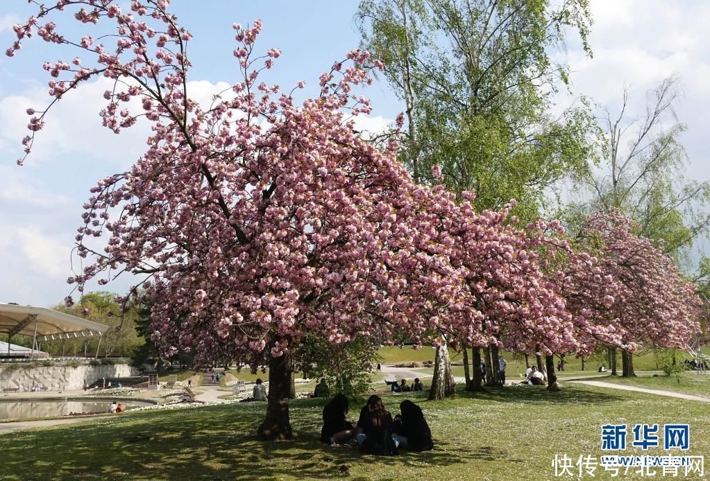 巴黎：花前树下