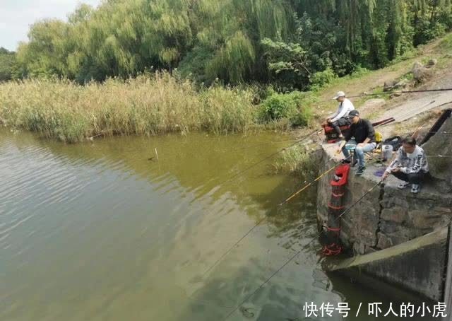 野钓还被打闭口?别着急,就用这个方法办他,十用九有效