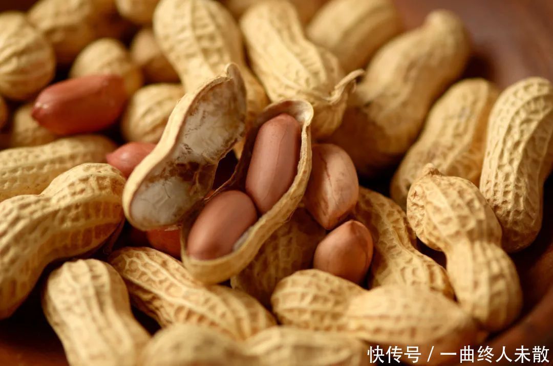 养花技巧1粒花生丢水里,比绿萝好看100倍,沤肥又能做菜