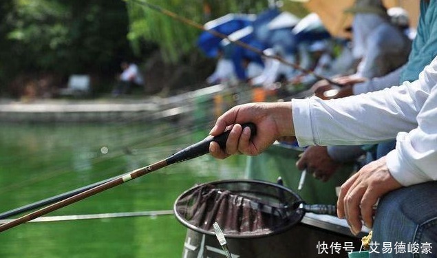 高手钓鱼用竿越来越短,新手用竿越来越长:秘密就在这里哦