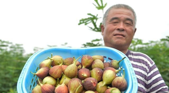 乳腺结节|乳腺结节的根源找到了，牢记2吃、2不吃，将结节“扫地出门”