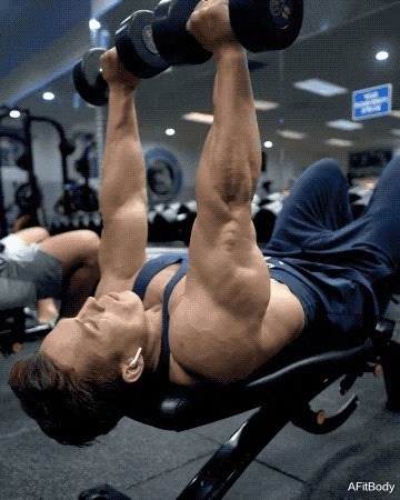 健身房|了解肱三头肌的训练原理,随时随地都可以训练,手臂岂有不粗