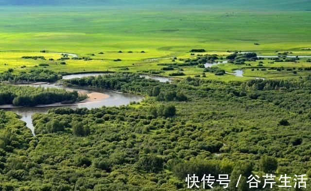 马奶酒|美丽的丰宁坝上大草原3日游，竟然吃到了烤兔子，太香了