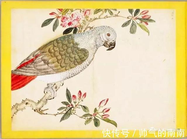 画谱!《百花鸟图》选页欣赏