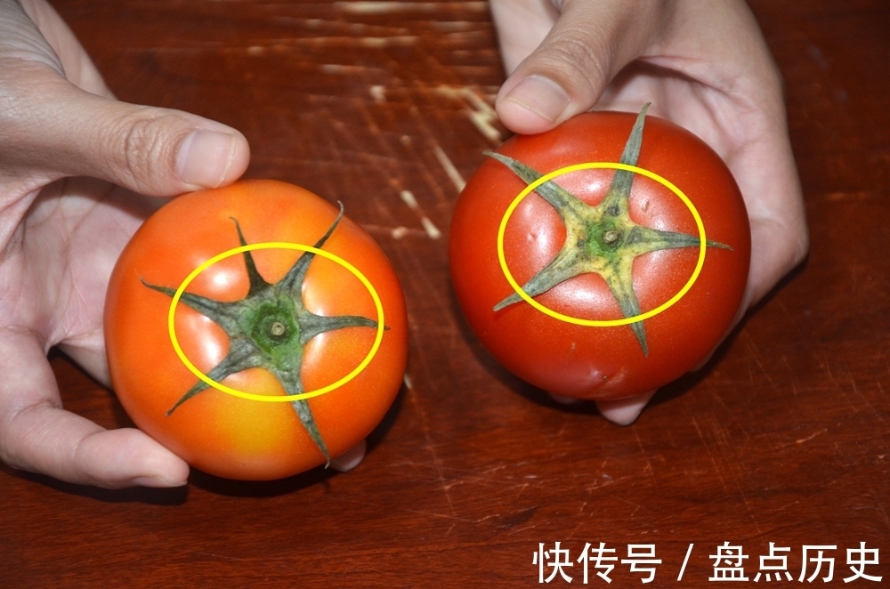 洋柿子|打了激素西红柿怎么辨别?菜农:教你4招,包你买到优质西红柿