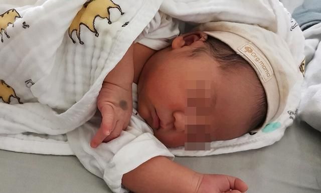 为人父母|新生儿到底该怎么照顾?是随意放养,还是如若珍宝的守护?