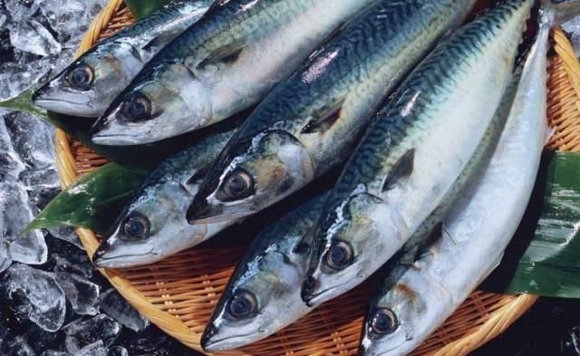 深海鱼|这鱼含有大量DHA,健脑益智,价格还便宜,一定多给孩子吃