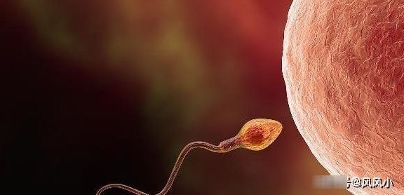 怀孕|为什么现在“胎停”的人越来越多?多数和这4点有关,早知早好