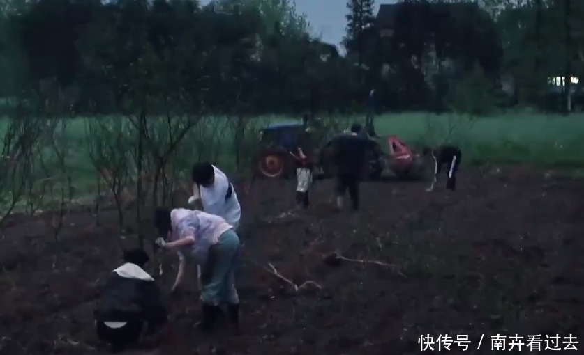 李诞|陈赫和李诞怎么了，努力制造节目效果，反而引起何炅与黄磊的反感