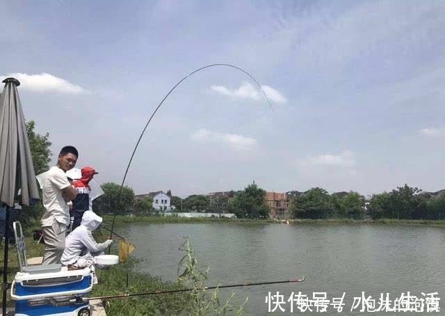 夏天|盘点几种夏天野钓的天然重窝,切记准备要大钩粗线