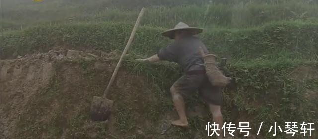 《变形计》“神仙妹妹”梁小友高二辍学后成网红,浓妆直播惹众议