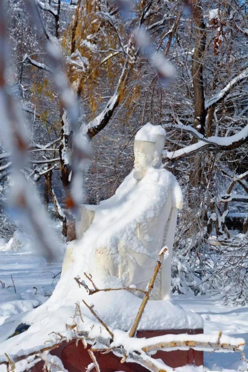 龙中医|【雪落象牙塔】银装素裹龙中医 执笔漫漫杏园情