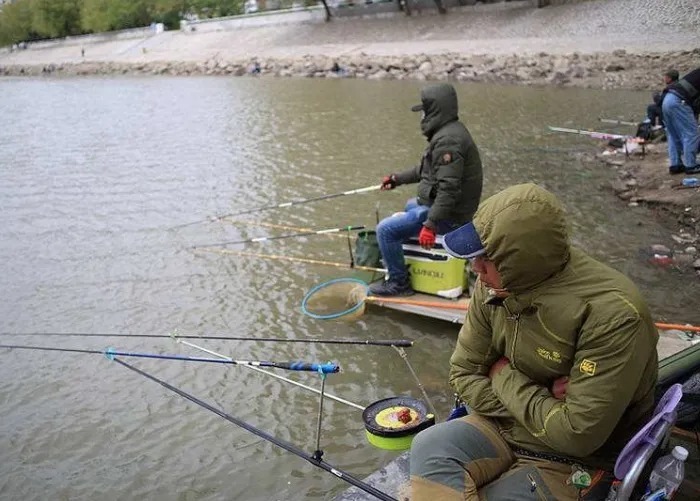 冷天爱钓鲫鱼的要留意了,我也是今天才知这“十字诀”,莫疏忽