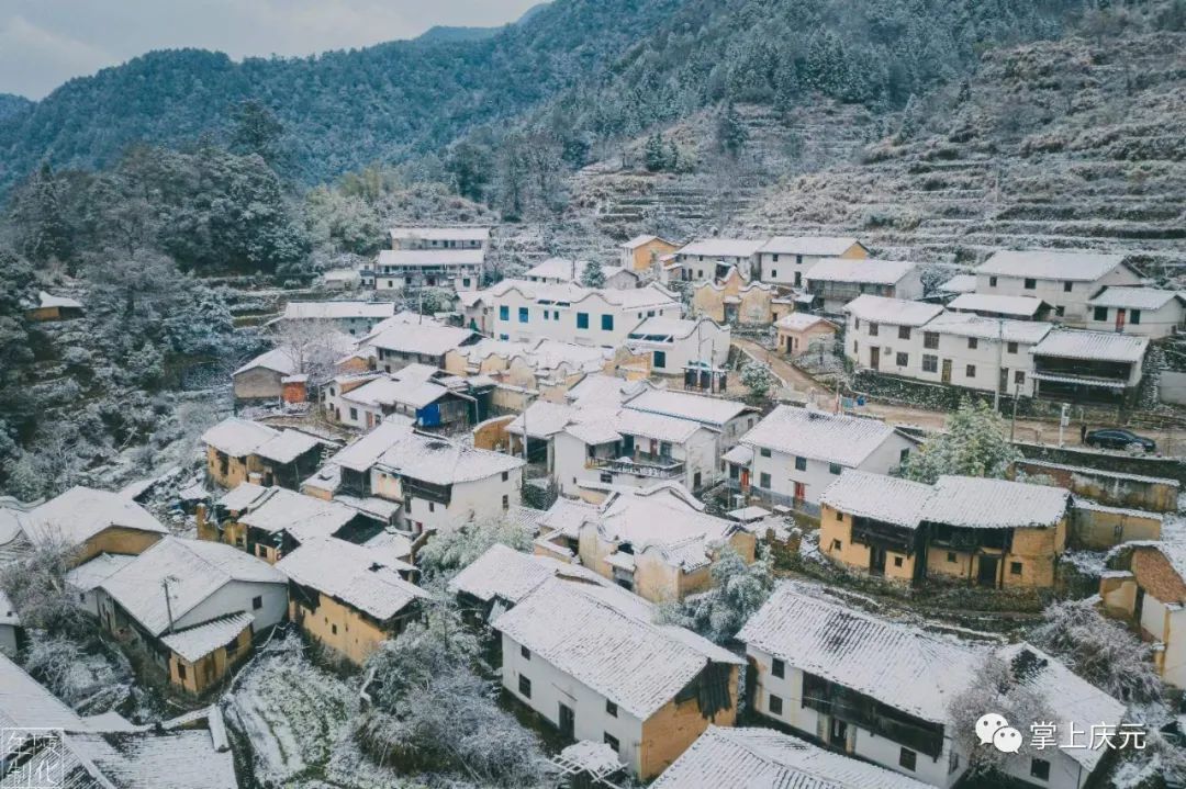 胡惠菲|庆元绝美雪景大片，上新了！