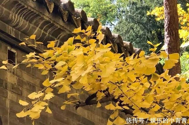 戏台|原创散文冬日所遇,尽可惊喜