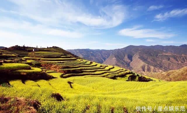 人间|油菜花漫舞在云南大姚紫丘山麻街村的山岗