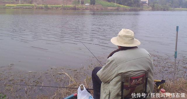 钓鱼|为什么浮漂有信号,提竿却没有鱼