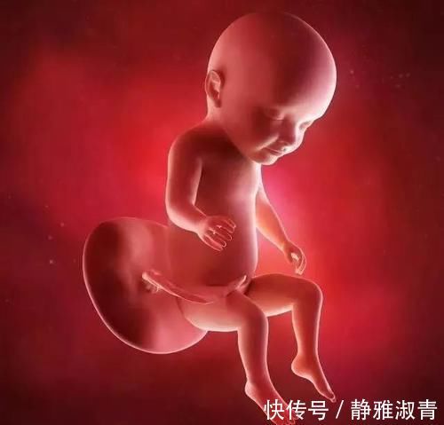 体重|怀孕1~10个月,胎儿发育变化全过程!想“修炼成人”还得过四关