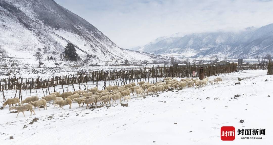 杨黎明|镜头下的大凉山：瑞雪兆丰年