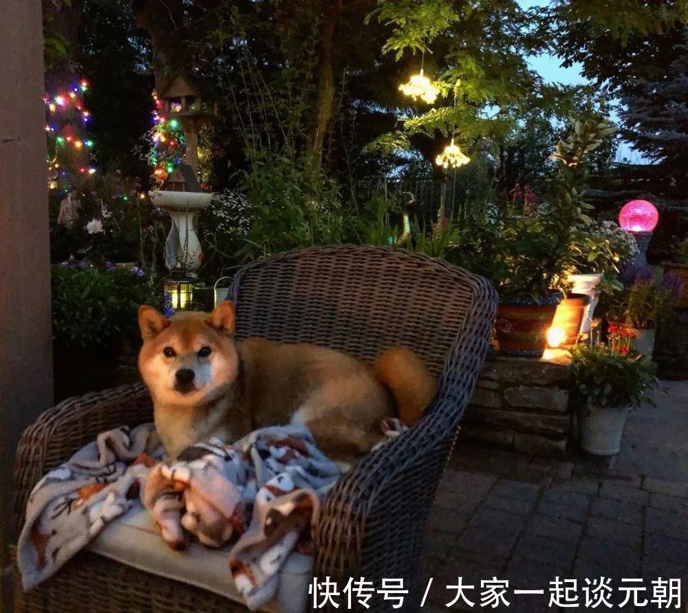 花园|25款花园灯光案例,用一缕柔和而诱人的光泽,打造浪漫唯美花园