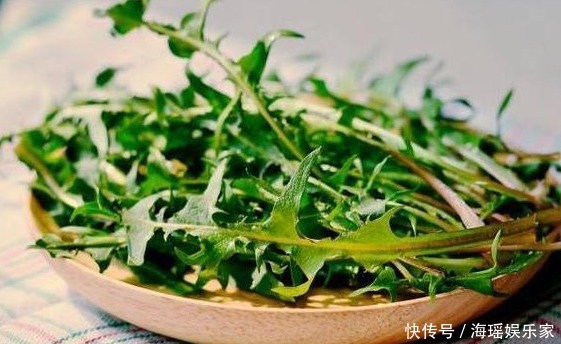 亲爱的|这草被称为“药草皇后”,泡水喝能治病,小时候将它当玩具