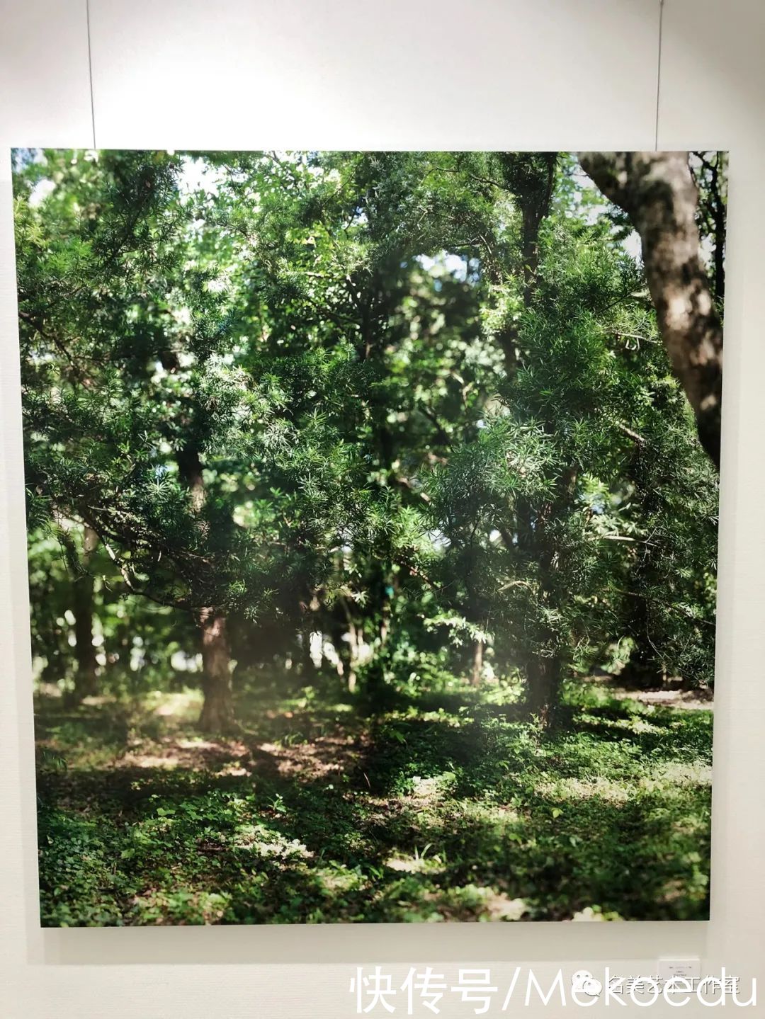 染织|「多图」2021年多摩美术大学校园开放日解説（下）