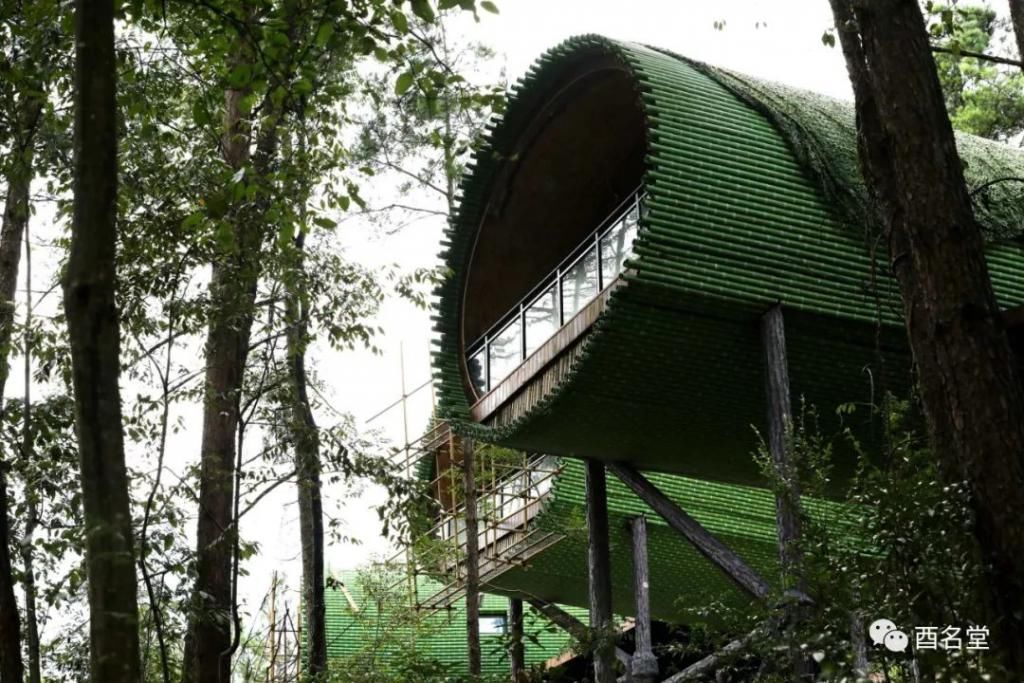 修树屋、帐篷酒店、无边泳池……金银山上在悄悄咪咪干大事