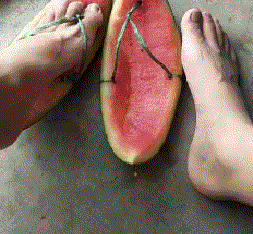 |搞笑GIF:虽然知道笑别人不好 但我实在是没忍住