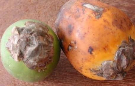 菠萝果|尽量少让孩子“碰”4种水果,特别是最后3种,大人也要管住嘴