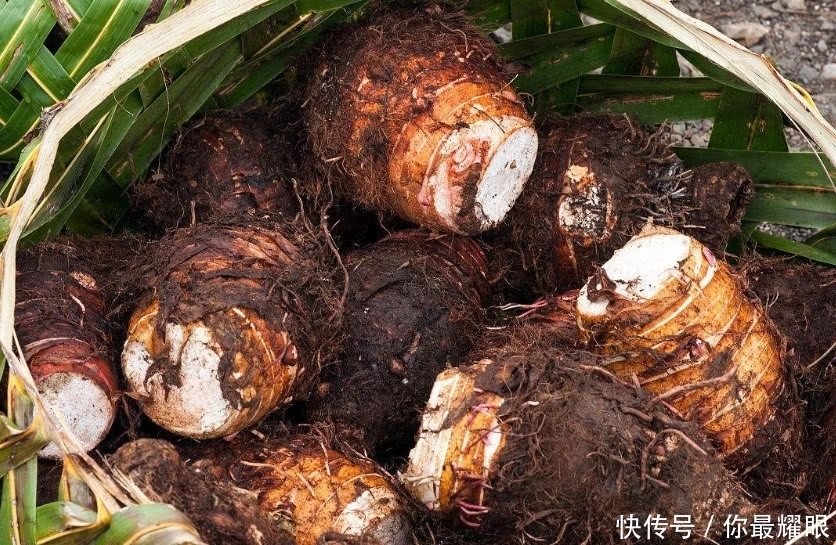 防癌抗癌|藏在厨房的天然“抗癌”食物,每天吃一点,预防癌症更健康