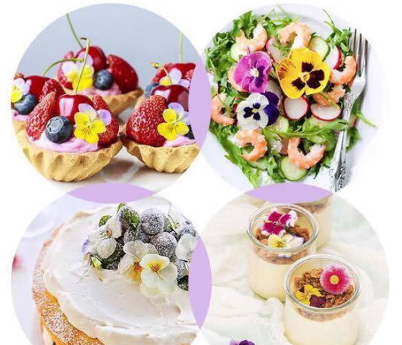 最适合懒人养的“4种花”，漂亮好养，一个月不管，花开满盆，美