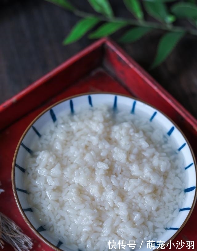 酒酿|老祖宗留下来的好东西，秋季进补吃正合适，早餐来一碗营养一整天