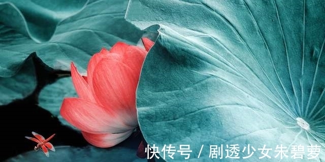 直觉@易经:用意不用力,最容易把事做成