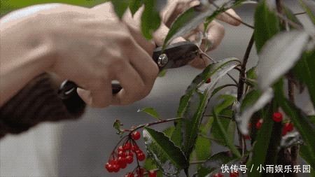 密室|杭州夫妻在家建密室,邻居超眼红:把开发商送的150㎡用到了极致