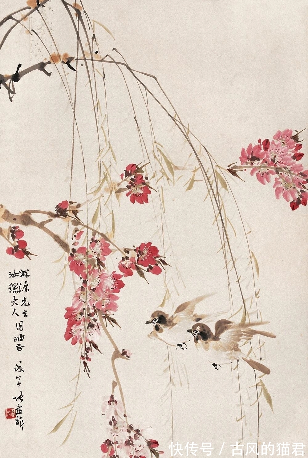 花鸟画!独特的魅力|张书旂花鸟画