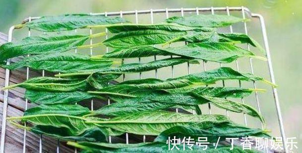 冬病夏治|女性想要皮肤好,常吃3物,排毒护肤,美容抗衰,呵护子宫