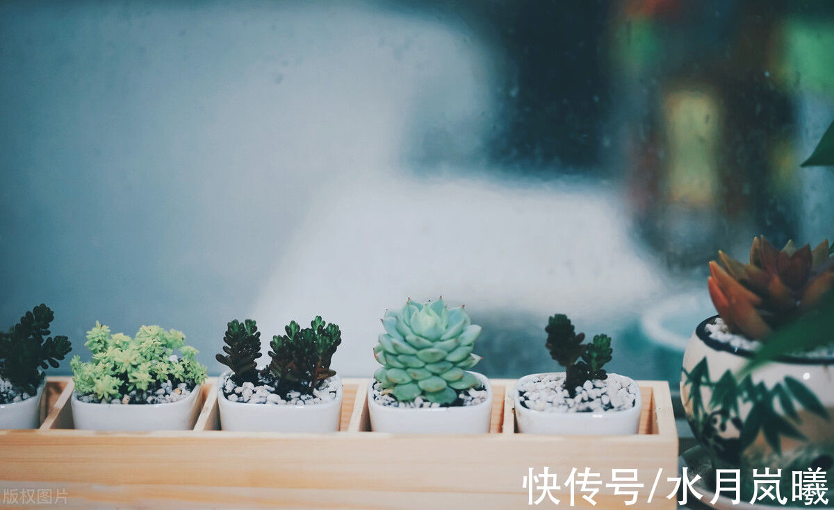 芳华#一世芳华，红颜白发，谁的浮生不若梦，谁的往事淡作烟