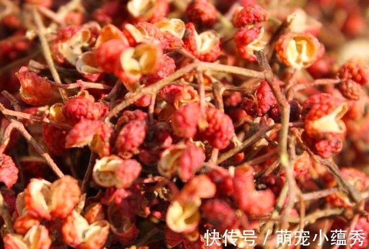 不管炖啥鱼，都别用料酒和醋去腥，教你正确做法，鱼肉鲜香不腥气