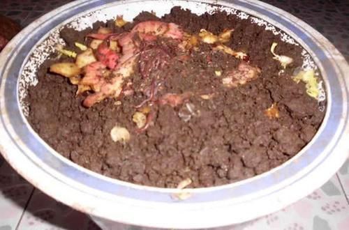 蚯蚓钓鱼使用小技巧,让钓鱼爱好者少走弯路