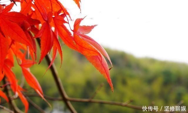 最圆|婺源菊径村，中国最圆的村庄，江西最适合自驾的村落！