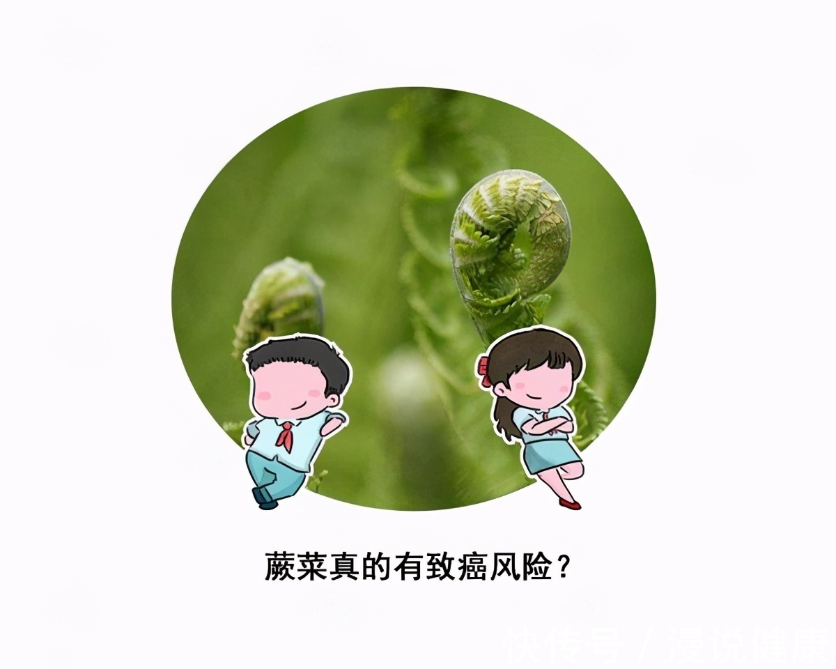 原蕨苷|吃一点都会致癌?“野菜之王”的蕨菜,是否吃了真的会得癌症?
