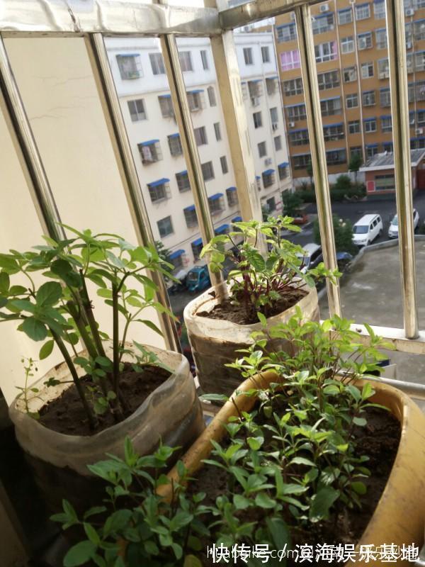 油烟|家里这两扇门,最好是经常关闭,有利于健康