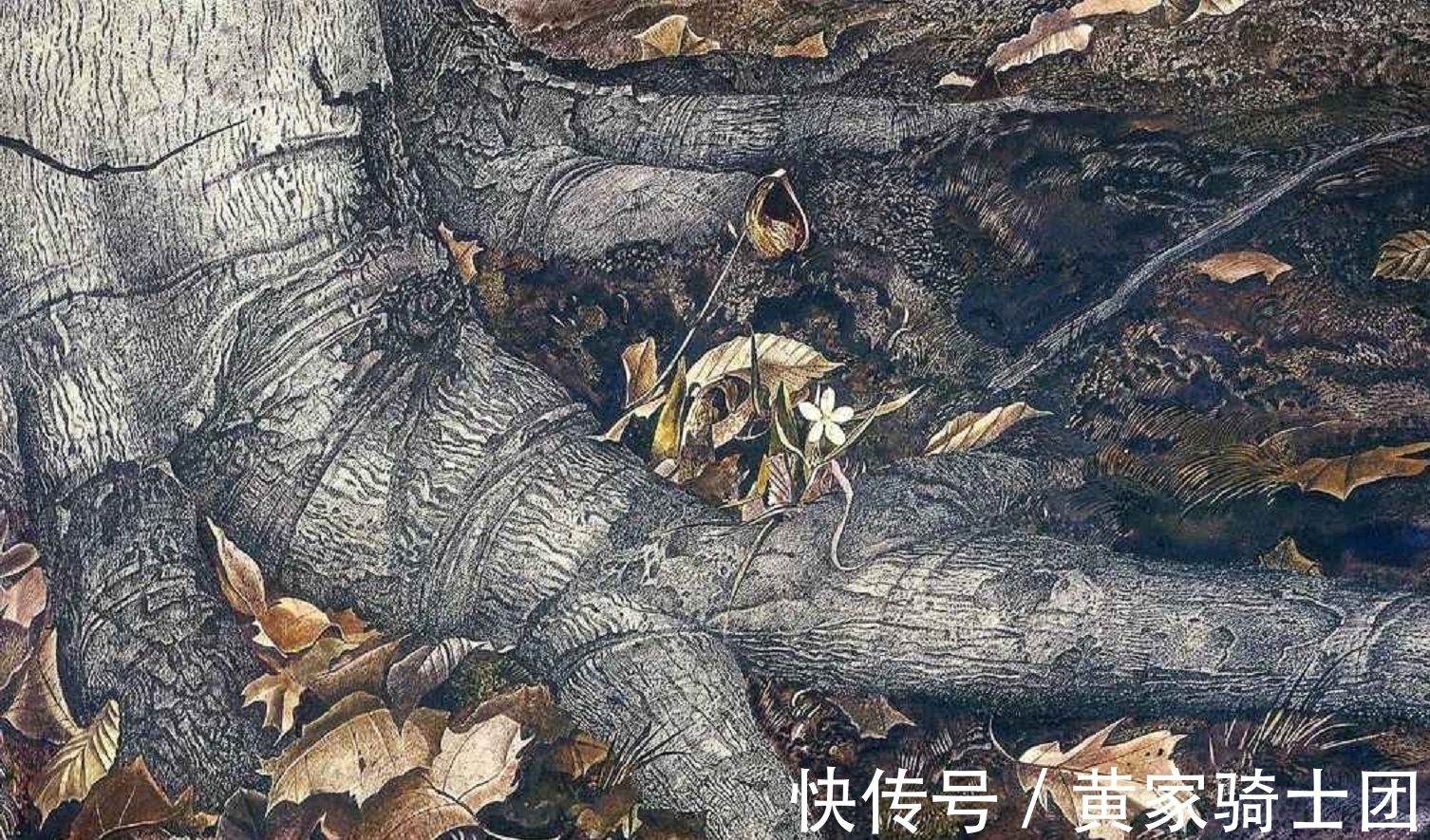 肖像画&十五年间给邻居画了200多幅人体画——天赋异禀的画家安德鲁·怀斯