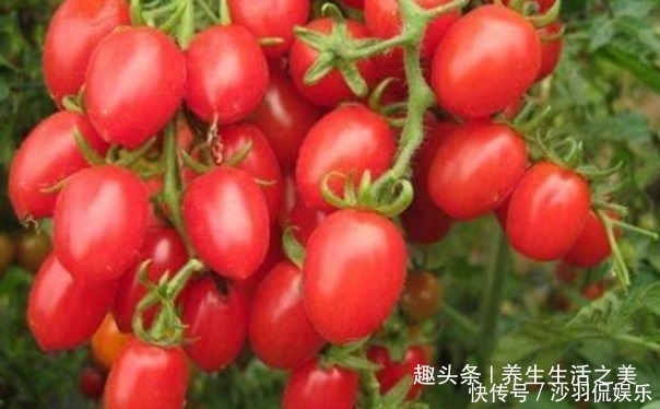 牛蹄筋|女性不想皱纹来的快,推荐3物,每天换着吃,延缓衰老,保养容颜