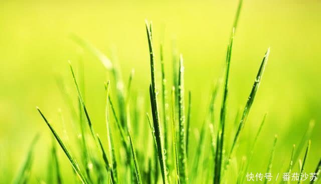 子女|人到晚年,愿意和子女一起生活吗?3个老年人说了大实话