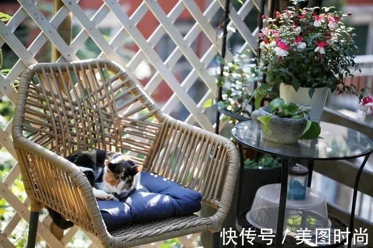 薇月|四年前,接手了朋友带120㎡院子的房子,打造成花园后朋友羡慕了