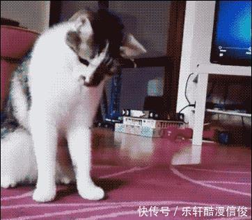 中山饮食真的,我是第一次见,油炸虫草花!