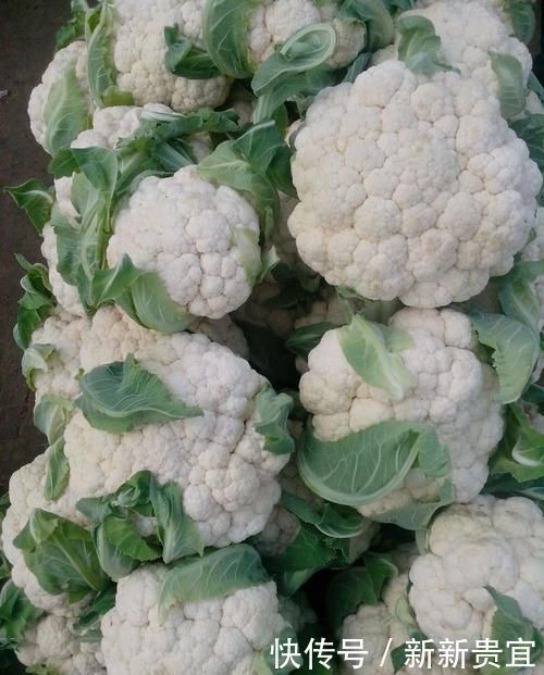 女性想要保持年轻,常吃3种食物,滋养肌肤,促进子宫排毒