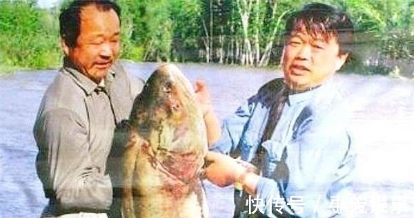 捕捞@怪石湖水怪之谜:水下生物被捉后,引发的灾难令人警醒